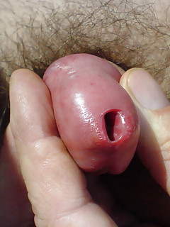 Small Gay Cock Pics